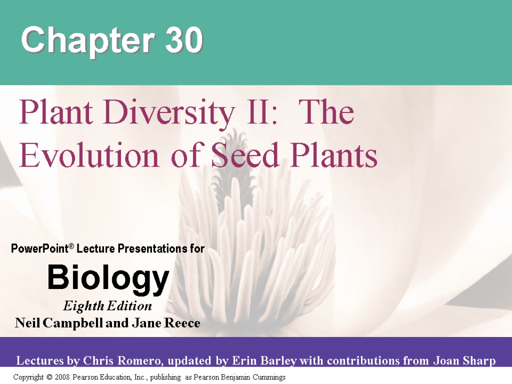 Chapter 30 Plant Diversity II: The Evolution of Seed Plants